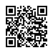 QR Code (код быстрого отклика)