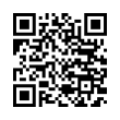 QR Code (код быстрого отклика)