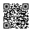 QR Code (код быстрого отклика)