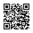 QR Code (код быстрого отклика)
