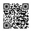 QR Code (код быстрого отклика)
