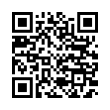 QR Code (код быстрого отклика)