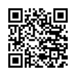 QR Code (код быстрого отклика)
