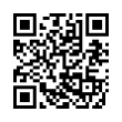 QR Code (код быстрого отклика)