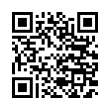 QR Code (код быстрого отклика)