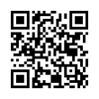 QR Code (код быстрого отклика)