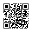 QR Code (код быстрого отклика)