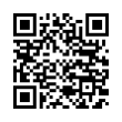 QR Code (код быстрого отклика)
