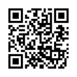 QR Code (код быстрого отклика)