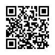 QR Code (код быстрого отклика)