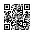 QR Code (код быстрого отклика)