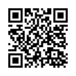 QR Code (код быстрого отклика)