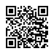 QR Code (код быстрого отклика)