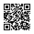 QR Code (код быстрого отклика)
