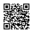 QR Code (код быстрого отклика)