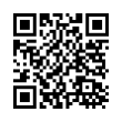 QR Code (код быстрого отклика)