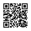 QR Code (код быстрого отклика)