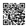 QR Code (код быстрого отклика)