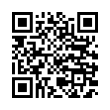 QR Code (код быстрого отклика)