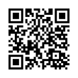 QR Code (код быстрого отклика)