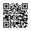 QR Code (код быстрого отклика)