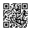 QR Code (код быстрого отклика)