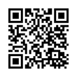 QR Code (код быстрого отклика)