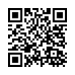 QR Code (код быстрого отклика)