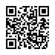 QR Code (код быстрого отклика)