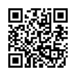 QR Code (код быстрого отклика)