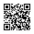 QR Code (код быстрого отклика)