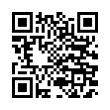 QR Code (код быстрого отклика)