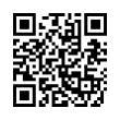 QR Code (код быстрого отклика)