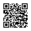 QR Code (код быстрого отклика)