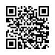 QR Code (код быстрого отклика)