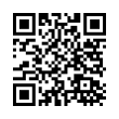 QR Code (код быстрого отклика)