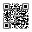 QR Code (код быстрого отклика)