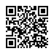 QR Code (код быстрого отклика)