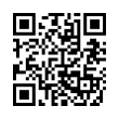 QR Code (код быстрого отклика)