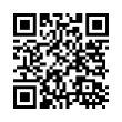QR Code (код быстрого отклика)