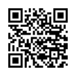 QR Code (код быстрого отклика)