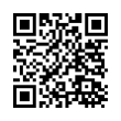 QR Code (код быстрого отклика)