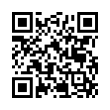 QR Code (код быстрого отклика)