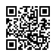 QR Code (код быстрого отклика)