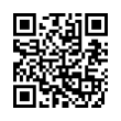 QR Code (код быстрого отклика)