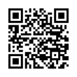 QR Code (код быстрого отклика)