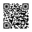 QR Code (код быстрого отклика)