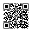 QR Code (код быстрого отклика)