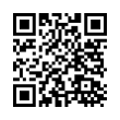 QR Code (код быстрого отклика)