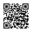 QR Code (код быстрого отклика)